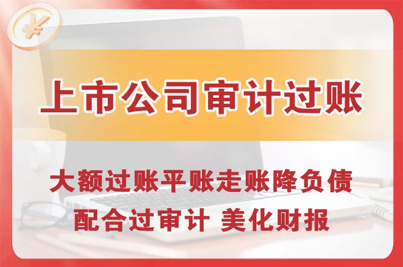 桐城上市公司审计过账